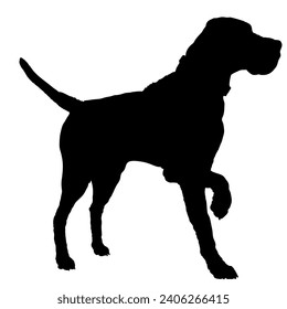 Dog Great Dane silhouette Breeds Bundle Dogs on the move. Dogs in different poses. jumps, the dog runs. The dog is sitting. The dog is lying down playing
