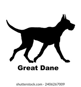 Dog Great Dane silhouette Breeds Bundle Dogs on the move. Dogs in different poses.
The dog jumps, the dog runs. The dog is sitting lying down playing
