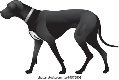 German Shepherd Dog Breed Realistic Color Stock Vector (Royalty Free ...