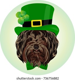 Dog in a green hat. Vector illustration.