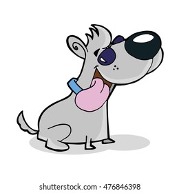 Dog Grey