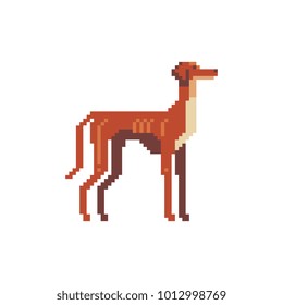 Dog. Greyhound breed. Pixel art character. Pet icon. Stickers design. Isolated vector illustration. 