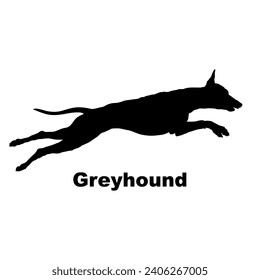 Dog Greyhound silhouette Breeds Bundle Dogs on the move. Dogs in different poses.
The dog jumps, the dog runs. The dog is sitting lying down playing
