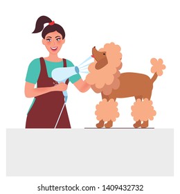 Dog groomer. Professional dog care and hygiene