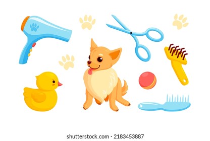 Dog and grooming accessories with pet shampoo, combs and rubber ducks. Playful chihuahua puppy in grooming service. Vector illustration in cute cartoon style