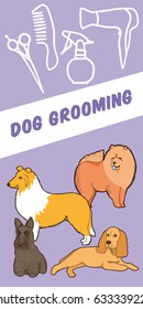 Dog grooming. Banner. Vector illustration