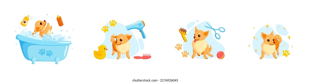 Dog grooming in a bath with pet shampoo, combs and rubber ducks. Playful chihuahua puppy in grooming service. Vector illustration in cute cartoon style