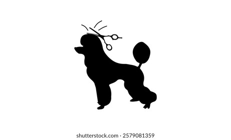 Dog grooming, black isolated silhouette