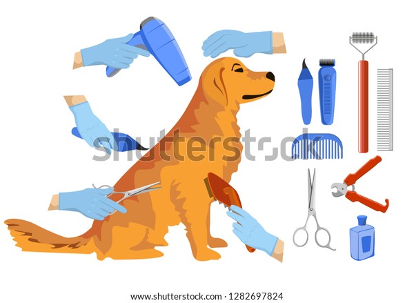 golden retriever grooming tools