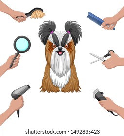Dog grooming collection set cartoon