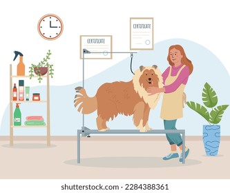 Dog grooming concept with collie style symbols flat vector illustration