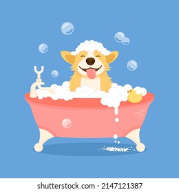 Dog grooming concept. Cute welsh corgi dog character, takes a bubble bath. The dog washes the grooming salon. Cartoon flat vector illustration.