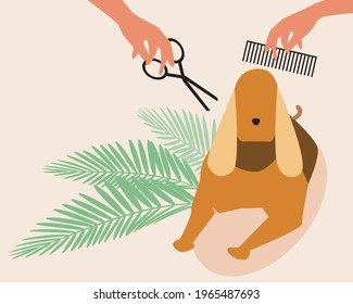 Dog grooming, copy space template. Flat vector stock illustration. Cocker spaniel in a grooming salon. Backdrop with place for text for design. Scissors in hand for a haircut. Vector graphics