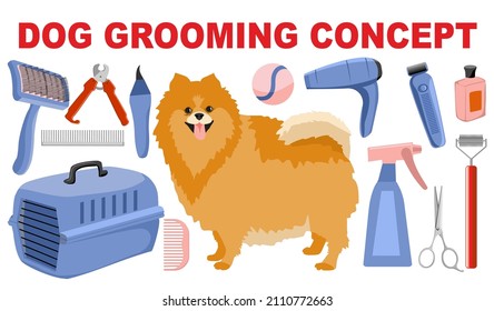 Dog grooming elements vector set.  Tools used in beauty salon for animals. Set of pet grooming tools for dog styling and grooming salon. Pets infographics elements. Spitz and tools for his care.