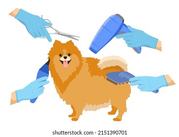 Dog grooming elements vector set.  Tools used in beauty salon for animals. Set of pet grooming tools for dog styling and grooming salon. Pets infographics elements. Spitz and tools for his care.