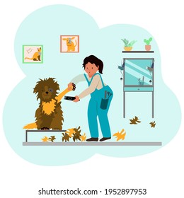 Dog grooming. Girl hairdresser cuts a shaggy brown dog. Salon. Colored stock vector illustration. Flat style. Isolated clipart.