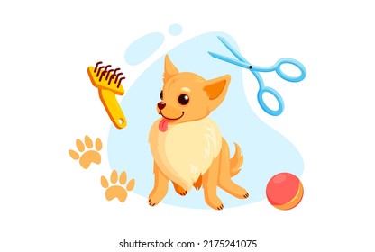 Dog grooming with haircut scissors and combs.Playful chihuahua puppy in grooming service. Vector illustration in cute cartoon style