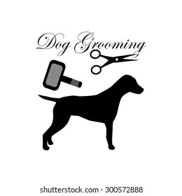 Dog grooming. Dog hairdresser. Service dog. Caring for animals. Pet grooming. 