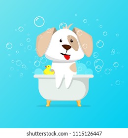 Dog grooming icon. Clipart image