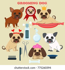 Dog grooming  salon. Cute pug puppy and French bulldog.The grooming services elements. Vector illustration. Flat style.