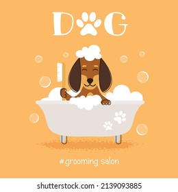 Dog grooming salon vector illustration