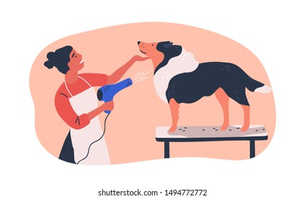 Dog grooming service flat vector illustration. Hairdresser holding electric hairdryer equipment cartoon character. Groomer drying domestic animal hair isolated clipart. Pet standing on table in salon.