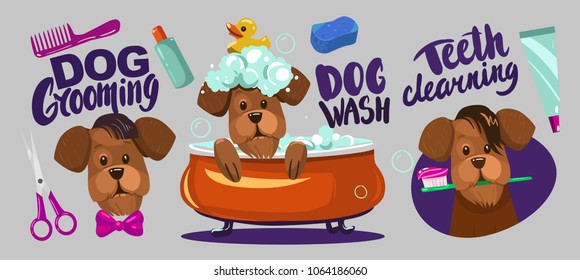 Dog grooming. Set of vector cartoon objects.