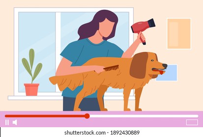 Dog grooming video tutorials. Computer online learning, woman washing dog internet lesson or webinar, professional blogger on video screen, vlog or show with domestic animal, vector cartoon concept