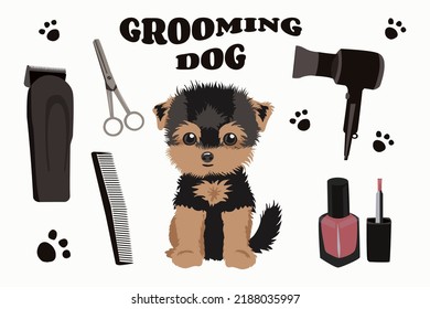 Dog grooming of a Yorkshire Terrier dog. Set of vector cartoon objects.