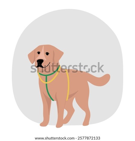The dog guide helping for blind people walking outside