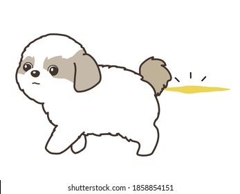 A dog had an accident on the 
floor.