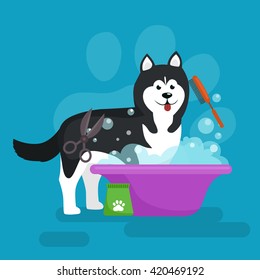 Dog hair hygiene. Vector Illustration Set, Pet Grooming and care