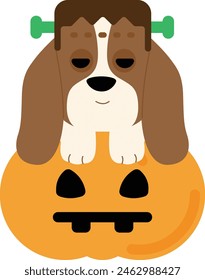 Dog Halloween costumes,Pet Halloween outfits,Spooky dog costumes