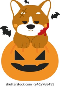 Dog Halloween costumes,Pet Halloween outfits,Spooky dog costumes