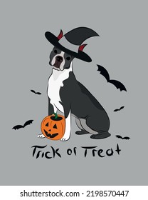 
Dog Halloween greeting card with a sitting Boston Terrier. Dog in costume, pumpkin in paw. Postcard for dog lovers. American Gentleman character postcard. Funny dog poster.