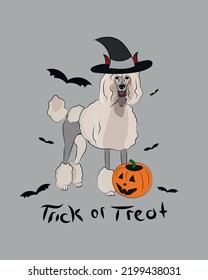 Dog Halloween greeting card with a sitting Poodle. Dog in costume, pumpkin in paw. Postcard for dog lovers. American Gentleman character postcard. Funny dog mascot