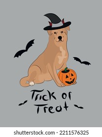 Dog Halloween greeting card with a sitting mutt dog. Mixed breed dog in a costume, pumpkin in paw. Postcard for pet lovers. Pet character postcard art. Funny dog mascot. Witch spooky card.