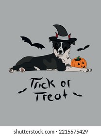 Tarjeta de saludo de Perro Halloween con un perro de Frontera Collie sentado. Collie disfrazado, calabaza en pata. Postal para los amantes de las mascotas. El personaje de la mascota es arte de postal. Tarjeta aterradora de brujas.