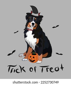 Hunde Halloween Grußkarte mit einem sitzenden Berner Sennenhund Hund. Hund in einem Kostüm, Kürbis in einer Pfote. Postkarte für Liebhaber von Haustieren. Haustier Charakter Postkartenkunst. Funny Bernese Mountain Hund Maskottchen. 