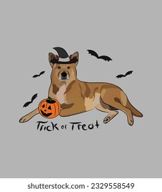 Dog Halloween greeting card with a sitting Canaan dog. Dog in a costume, pumpkin in a paw. Postcard for pet lovers. Pet character postcard art. Funny  dog mascot. Witch spooky pet. Trick or treat.