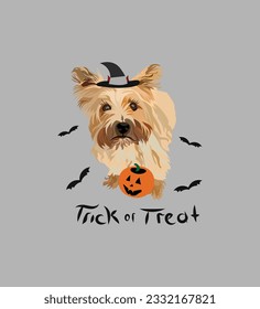 Dog Halloween greeting card with a sitting Cairn Terrier. Dog in a costume, pumpkin in a paw. Postcard for pet lovers. Pet character postcard art. Funny  dog mascot. Witch spooky pet. Trick or treat.