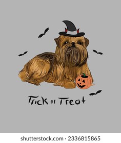 Dog Halloween greeting card with a sitting brussels griffon. Dog in a costume, pumpkin in a paw. Postcard for pet lovers. Pet character postcard art. Funny dog mascot. Witch spooky pet. Trick or treat