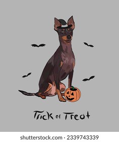 Dog Halloween greeting card with a sitting English toy terrier art. Dog in a costume, pumpkin in a paw. Postcard for pet lovers. Pet character postcard art. Funny dog mascot. Witch spooky pet.