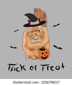 Dog Halloween greeting card with a standing red Persian longhair cat in a costume, and pumpkin in a paw. Postcard for pet lovers. Pet character postcard art. Funny cat mascot. Witch spooky.