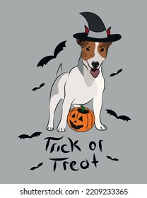 Dog Halloween greeting card with a staying Jack Russell. Dog in costume, pumpkin in paw. Postcard for dog lovers. Pet character postcard art. Funny dog mascot