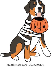 Hund Halloween, Mumie Hund, Großschweizer Berg Hundezeichnung