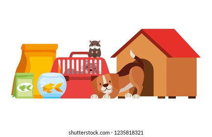 Dog Hamster And Cat On Cage Food House Pet