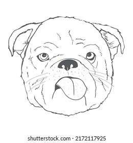 Dog hand drawing pattern. French bulldog vector cartoon wallpaper isolated black and white.