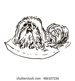 Dog Hand Drawn. Pekinese. Vector illustration isolated