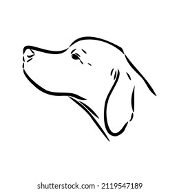 Dog Hand Drawn. Pointer. Vector illustration isolated